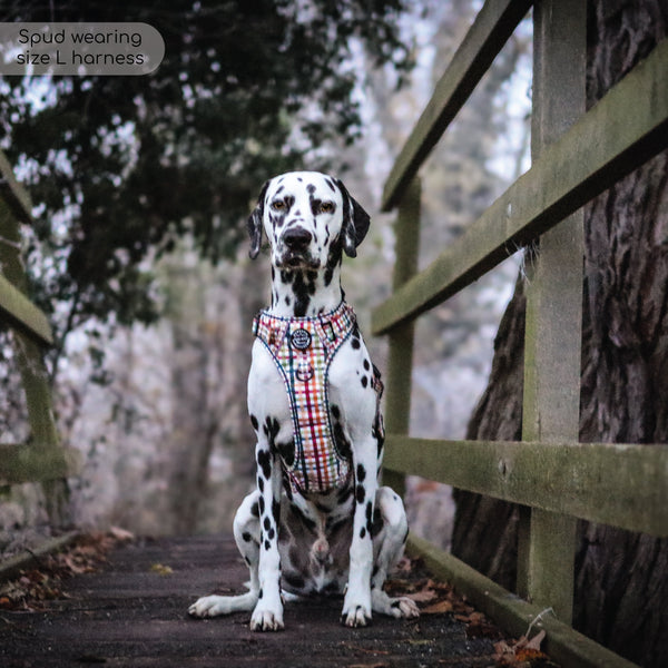 Tough Trails™ Harness - Plaid Pup