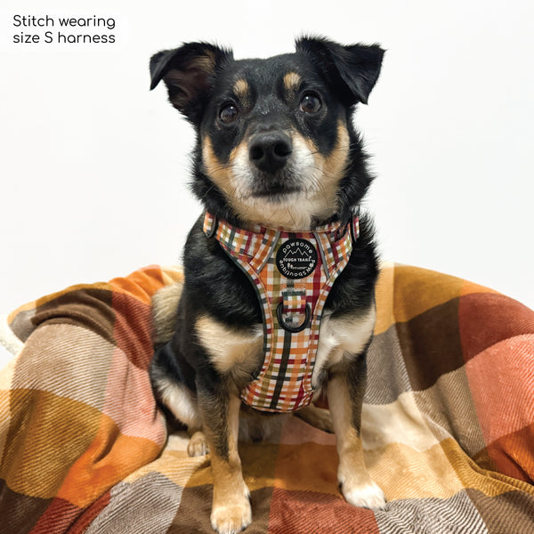 Tough Trails™ Harness - Plaid Pup