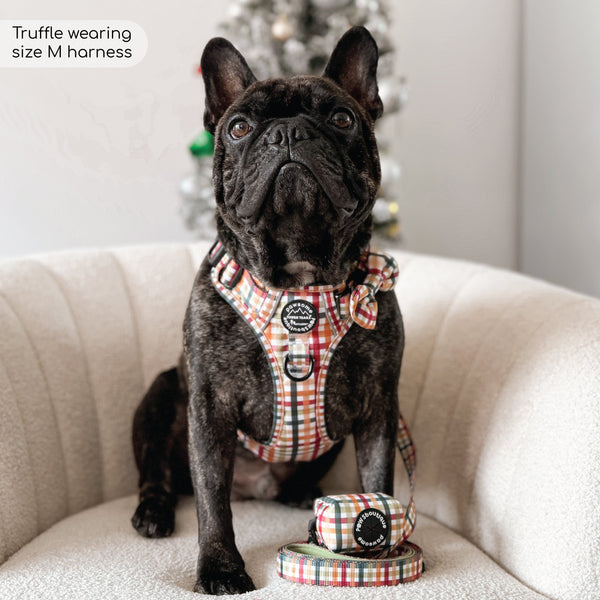 Tough Trails™ Harness - Plaid Pup