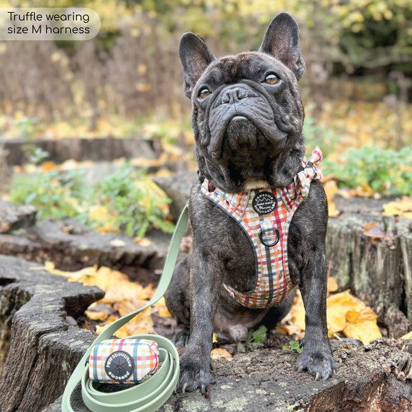 Tough Trails™ Harness - Plaid Pup